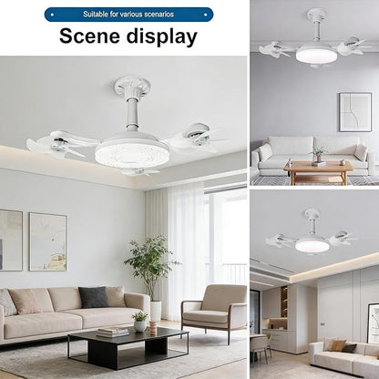 Summer Cooling Ceiling Fan Light with Remote