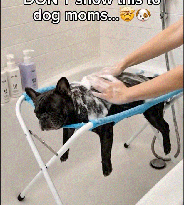 🐾 PawPerfect™ Grooming Table