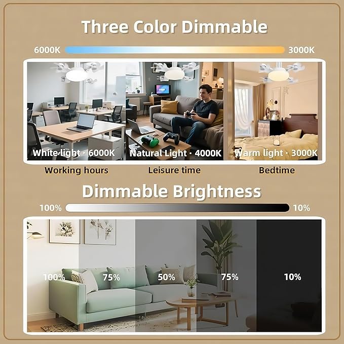 Summer Cooling Ceiling Fan Light with Remote