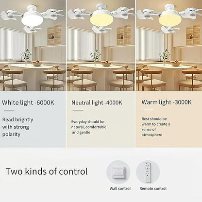 Summer Cooling Ceiling Fan Light with Remote