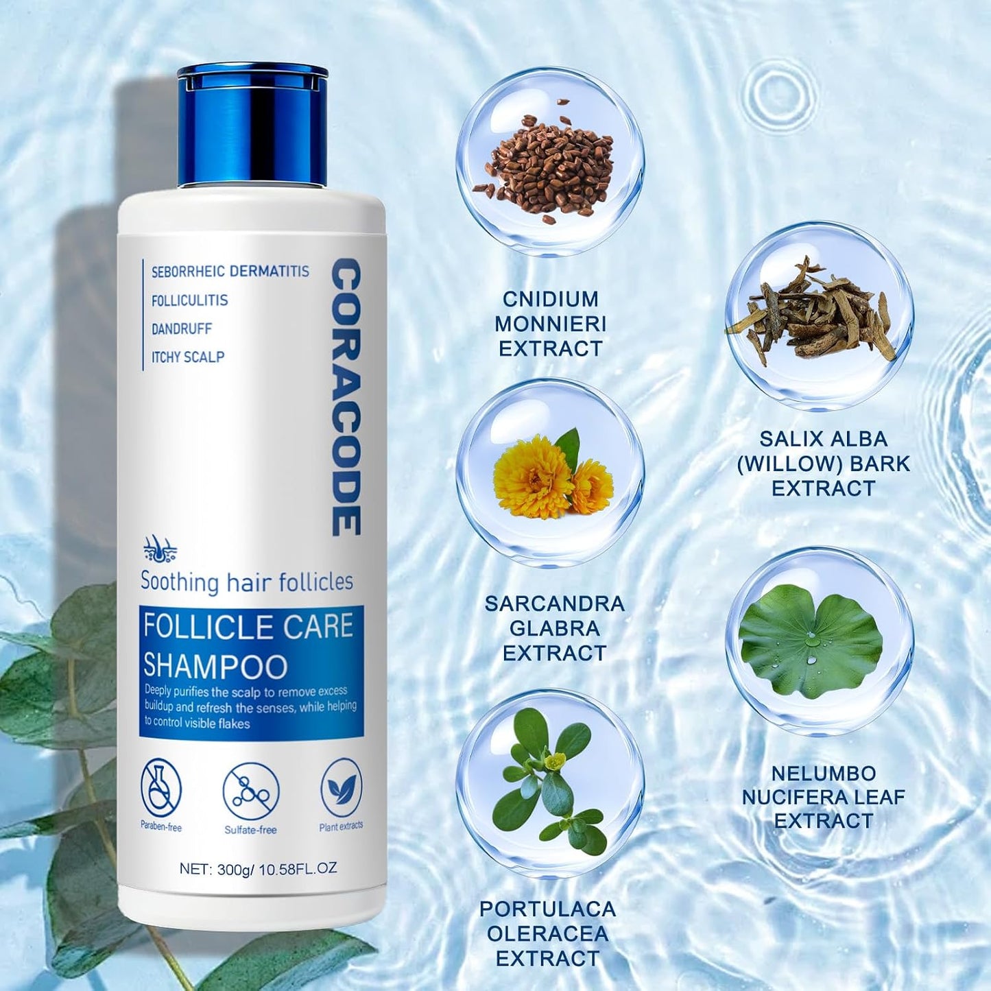 Coracode™ Follicle Care Shampo & Anti-Dandruff Care