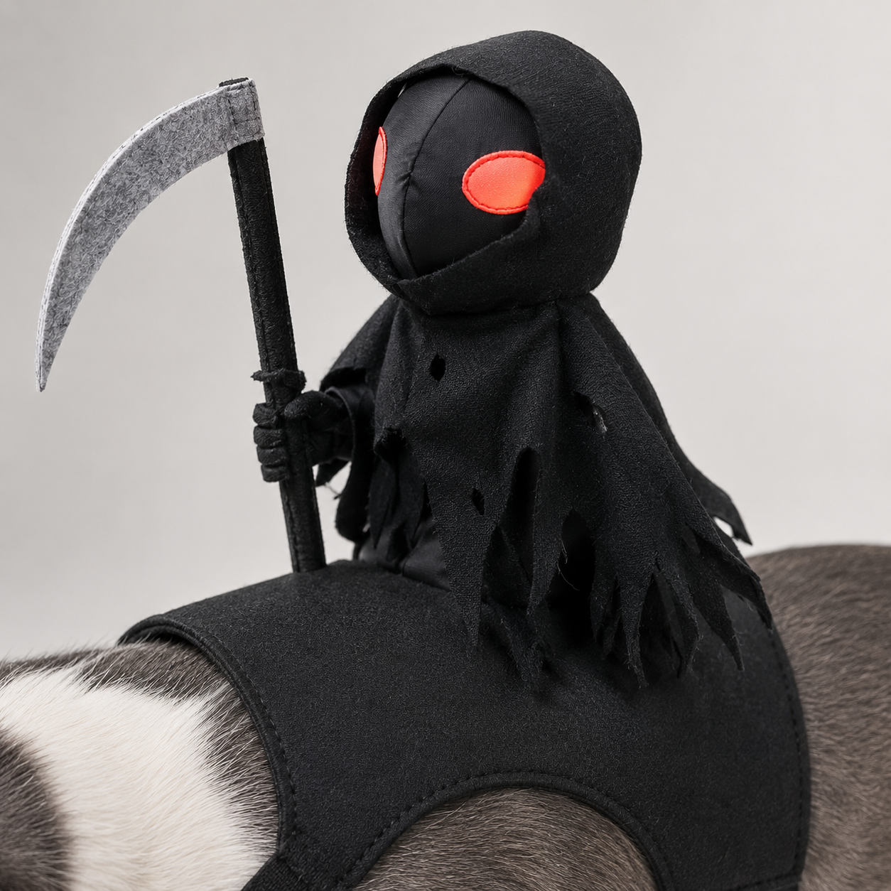 Grim Reaper Rider™ Pet Costume