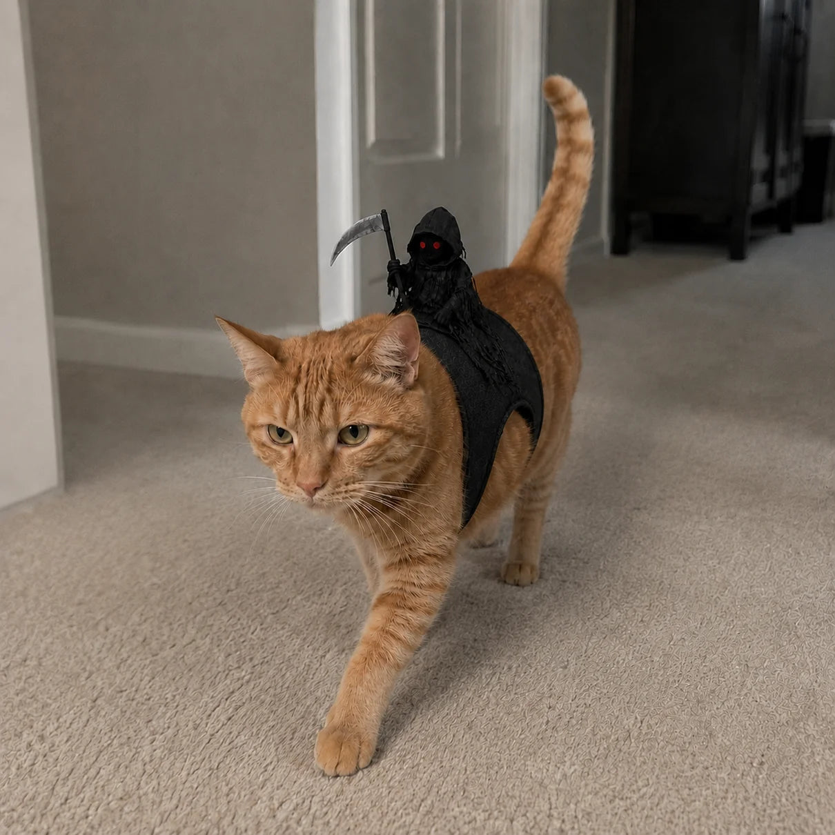 Grim Reaper Rider™ Pet Costume